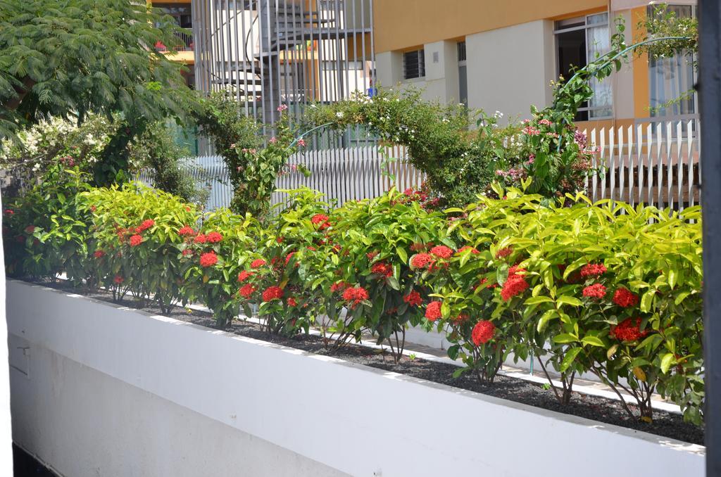 Alsol Las Orquideas Playa del Ingles  Ngoại thất bức ảnh